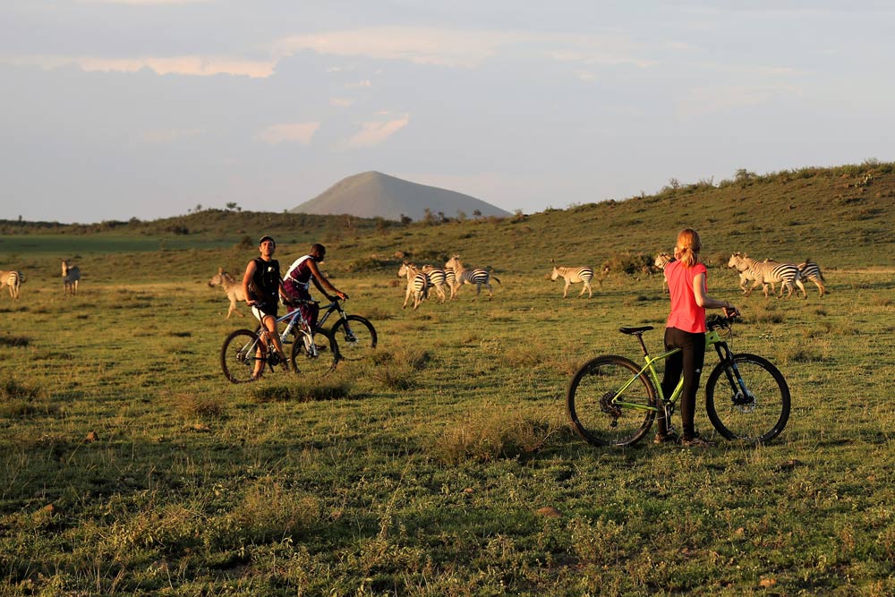 Biking Safari