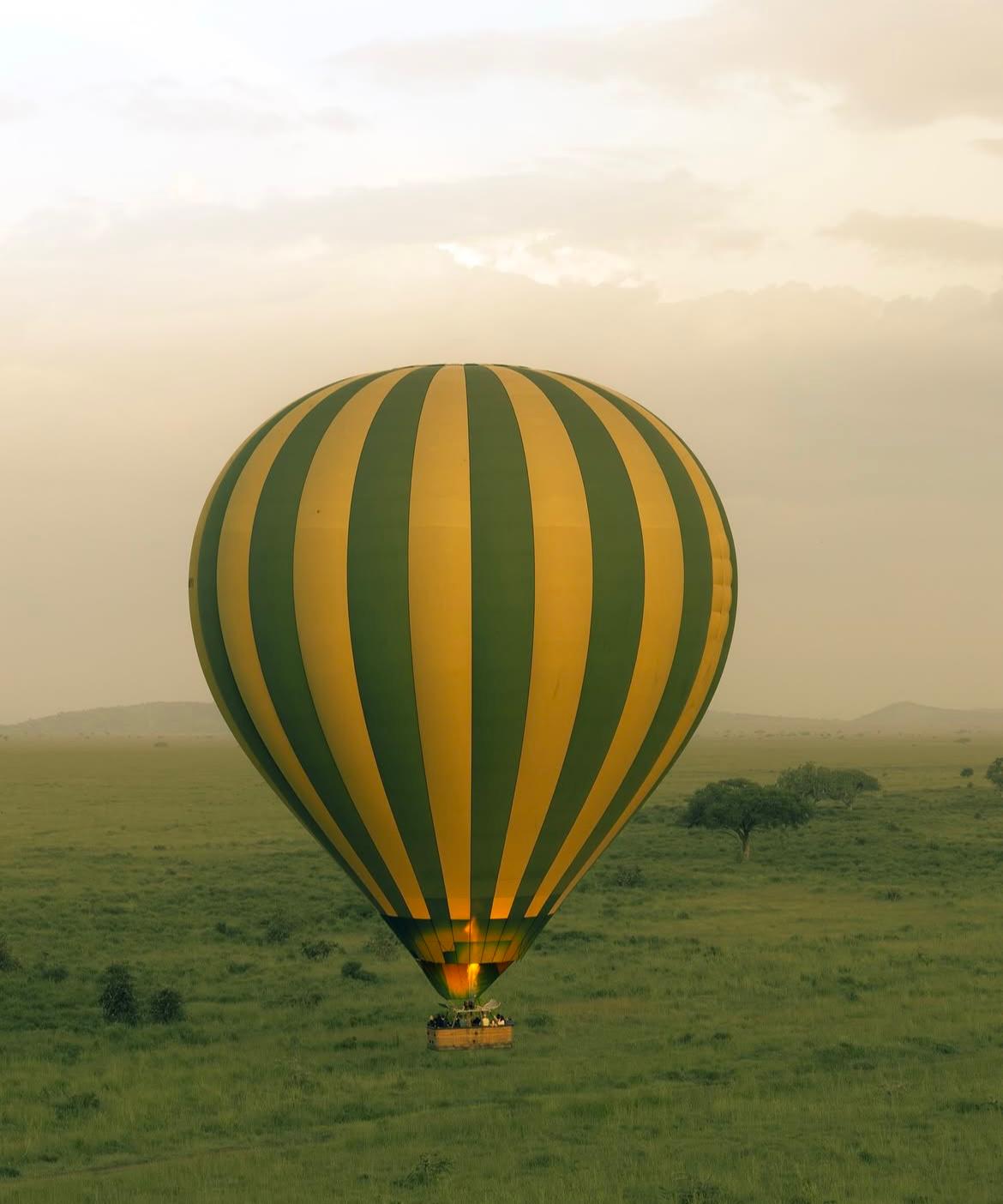 Hot Air Balloon Safari